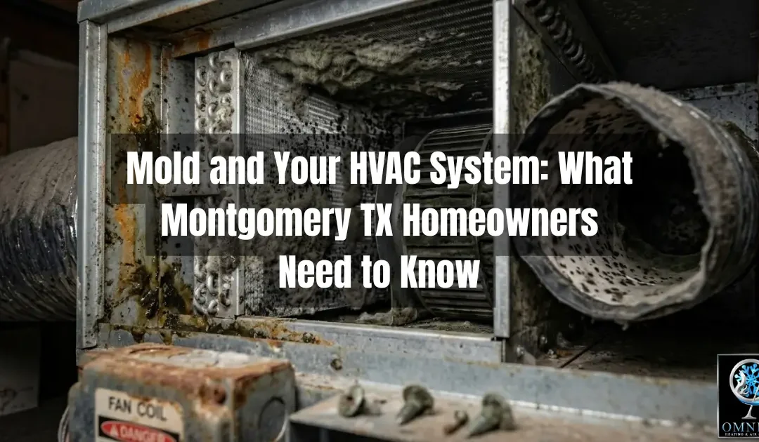 Mold and Your HVAC System: What Montgomery TX Homeowners Need to Know
